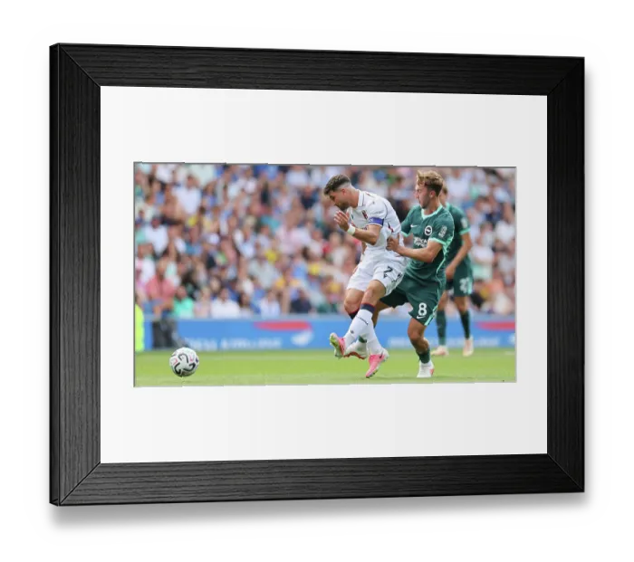 Framed Print : Brighton and Hove Albion v Bologna Premier League 15AUG26 Framed Print : Brighton and Hove Albion v Bologna Premier League 15AUG26