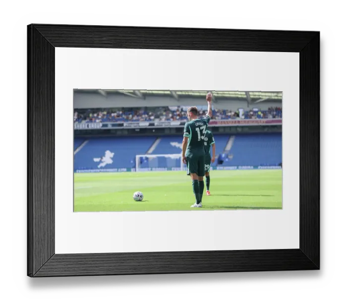 Framed Print : Brighton and Hove Albion v Bologna Premier League 15AUG26 Framed Print : Brighton and Hove Albion v Bologna Premier League 15AUG26