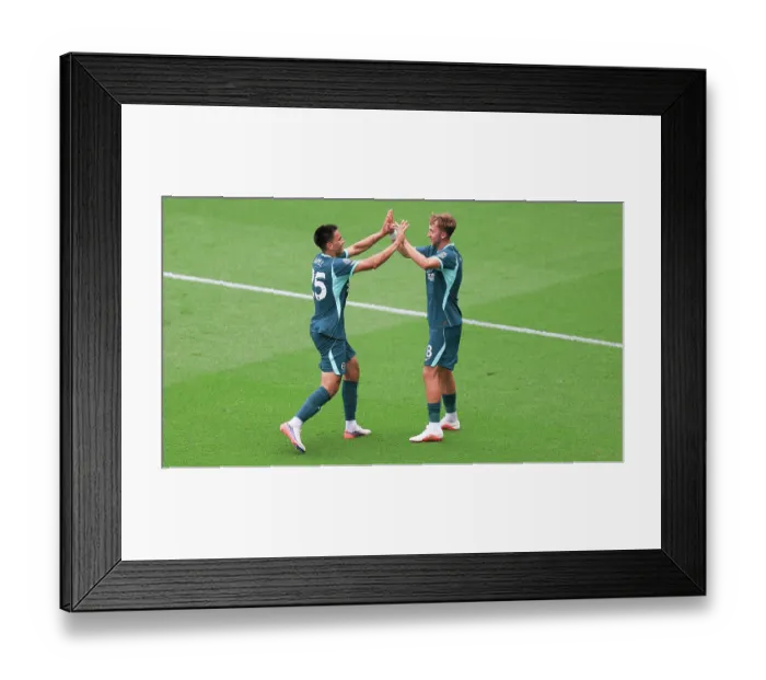 Framed Print : Brighton and Hove Albion v Bologna Premier League 15AUG26