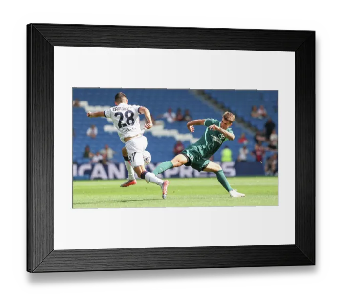 Framed Print : Brighton and Hove Albion v Bologna Premier League 15AUG26