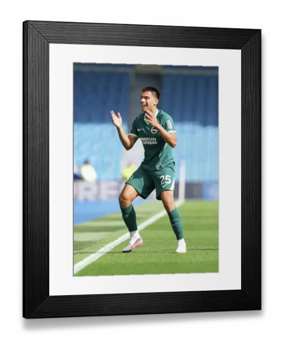 Framed Print : Brighton and Hove Albion v Bologna Premier League 15AUG26