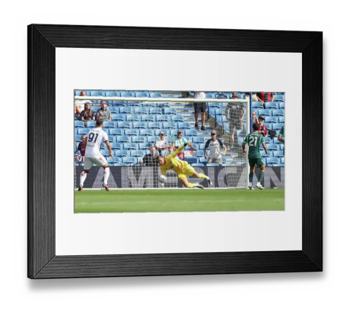 Framed Print : Brighton and Hove Albion v Bologna Premier League 15AUG26