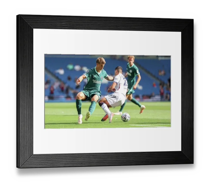 Framed Print : Brighton and Hove Albion v Bologna Premier League 15AUG26