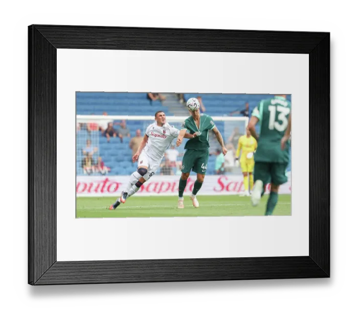 Framed Print : Brighton and Hove Albion v Bologna Premier League 15AUG26
