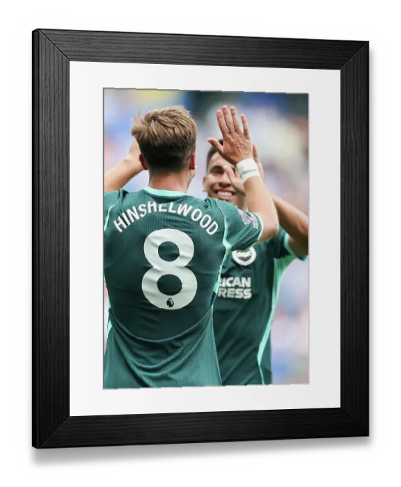 Framed Print : Brighton and Hove Albion v Bologna Premier League 15AUG26