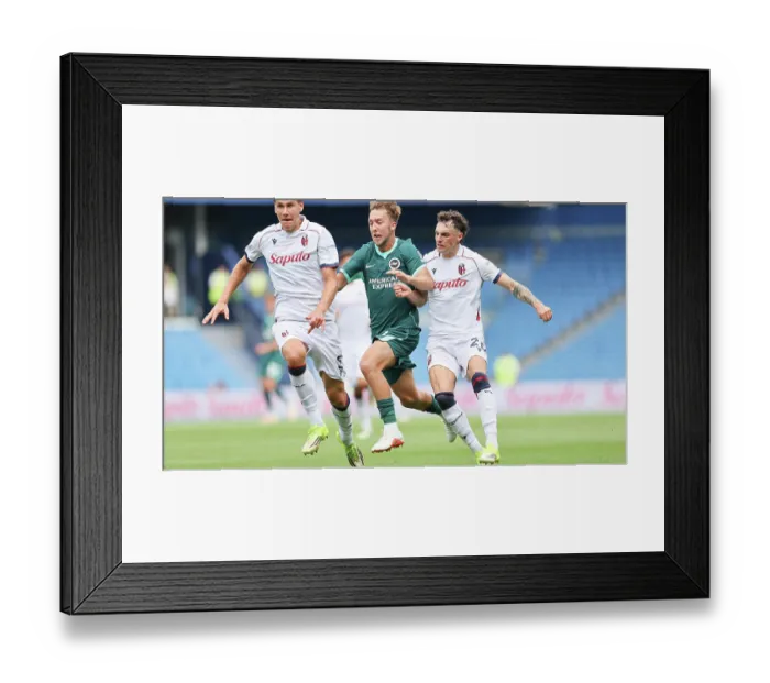 Framed Print : Brighton and Hove Albion v Bologna Premier League 15AUG26 Framed Print : Brighton and Hove Albion v Bologna Premier League 15AUG26