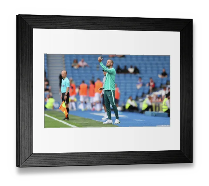 Framed Print : Brighton and Hove Albion v Bologna Premier League 15AUG26
