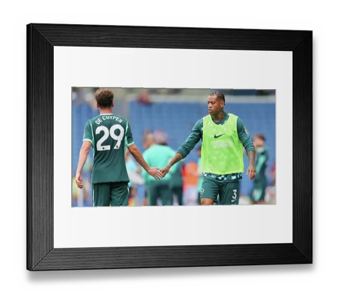 Framed Print : Brighton and Hove Albion v Bologna Premier League 15AUG26