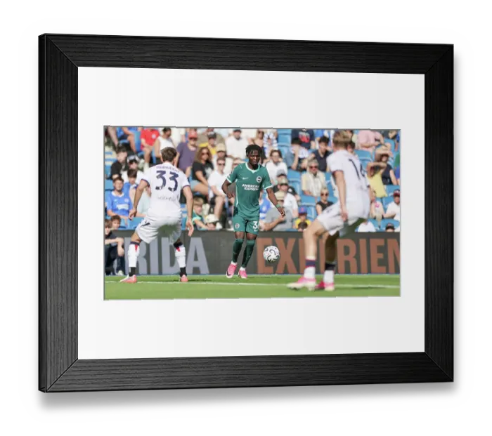 Framed Print : Brighton and Hove Albion v Bologna Premier League 15AUG26
