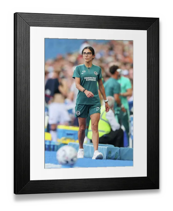 Framed Print : Brighton and Hove Albion v Bologna Premier League 15AUG26