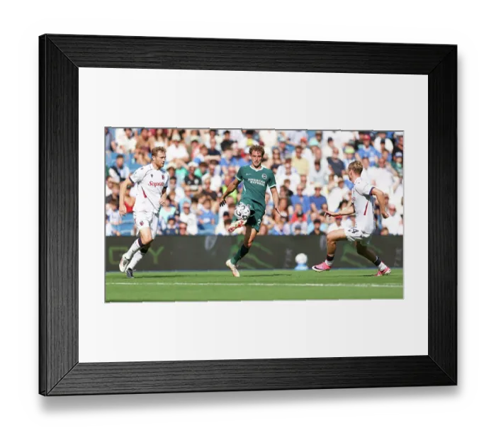 Framed Print : Brighton and Hove Albion v Bologna Premier League 15AUG26