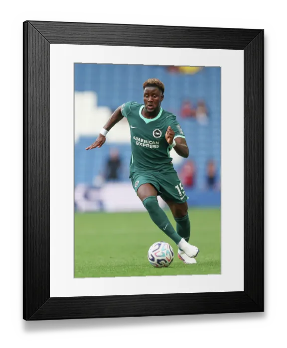 Framed Print : Brighton and Hove Albion v Bologna Premier League 15AUG26