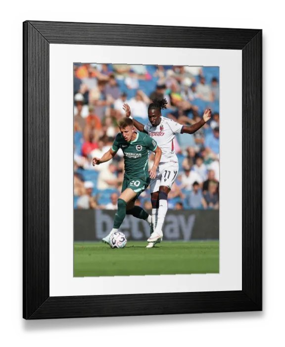 Framed Print : Brighton and Hove Albion v Bologna Premier League 15AUG26