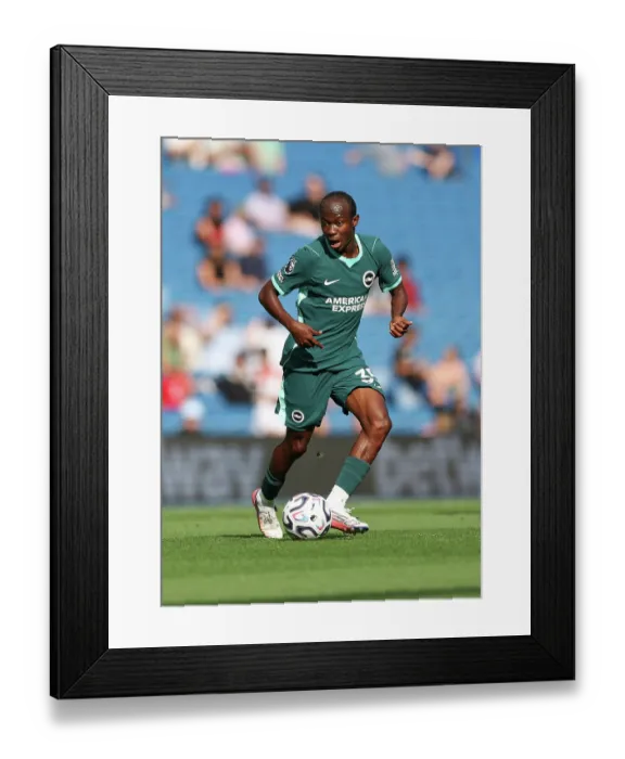 Framed Print : Brighton and Hove Albion v Bologna Premier League 15AUG26