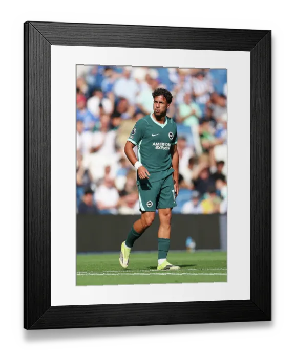 Framed Print : Brighton and Hove Albion v Bologna Premier League 15AUG26