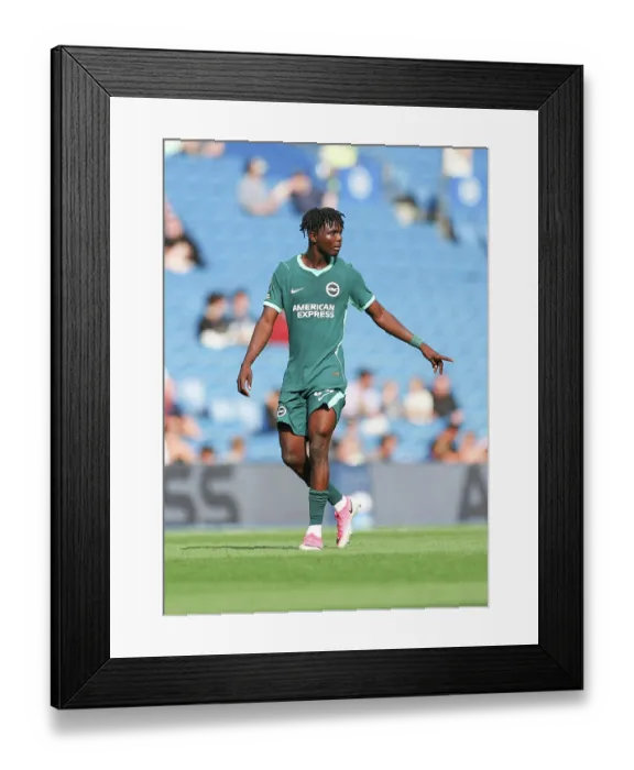 Framed Print : Brighton and Hove Albion v Bologna Premier League 15AUG26 Framed Print : Brighton and Hove Albion v Bologna Premier League 15AUG26