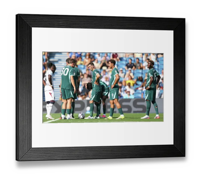 Framed Print : Brighton and Hove Albion v Bologna Premier League 15AUG26