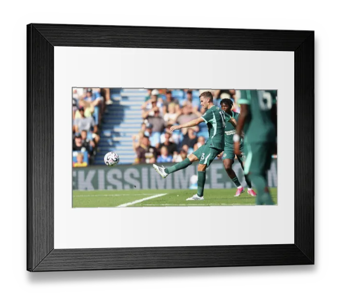 Framed Print : Brighton and Hove Albion v Bologna Premier League 15AUG26