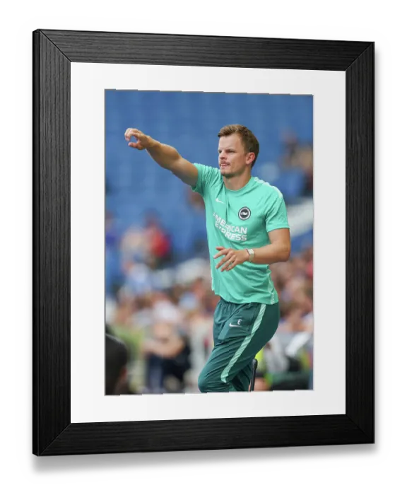 Framed Print : Brighton and Hove Albion v Bologna Premier League 15AUG26