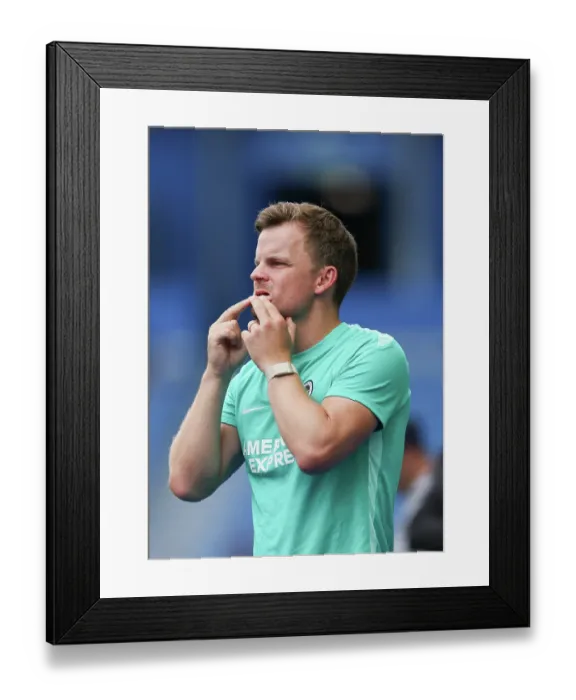 Framed Print : Brighton and Hove Albion v Bologna Premier League 15AUG26