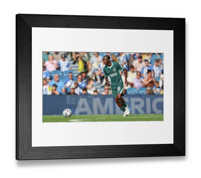 Framed Print : Brighton and Hove Albion v Bologna Premier League 15AUG26