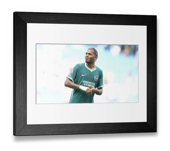 Framed Print : Brighton and Hove Albion v Bologna Premier League 15AUG26