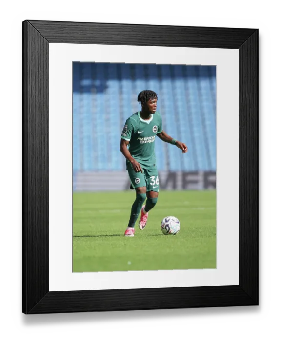 Framed Print : Brighton and Hove Albion v Bologna Premier League 15AUG26