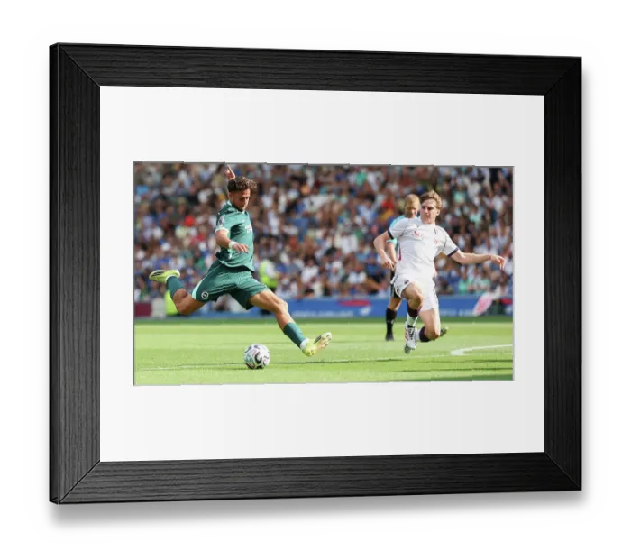 Framed Print : Brighton and Hove Albion v Bologna Premier League 15AUG26 Framed Print : Brighton and Hove Albion v Bologna Premier League 15AUG26