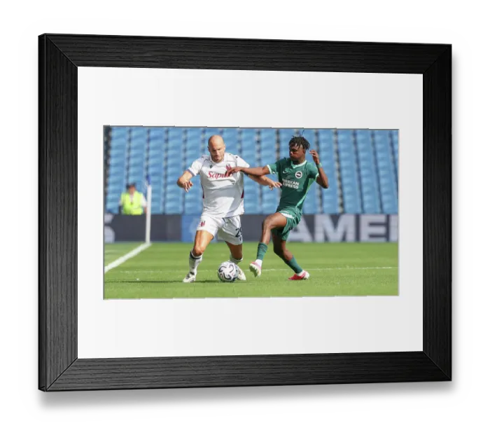 Framed Print : Brighton and Hove Albion v Bologna Premier League 15AUG26