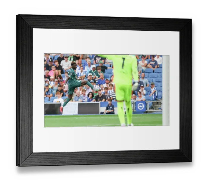 Framed Print : Brighton and Hove Albion v Bologna Premier League 15AUG26 Framed Print : Brighton and Hove Albion v Bologna Premier League 15AUG26