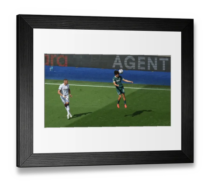 Framed Print : Brighton and Hove Albion v Bologna Premier League 15AUG26