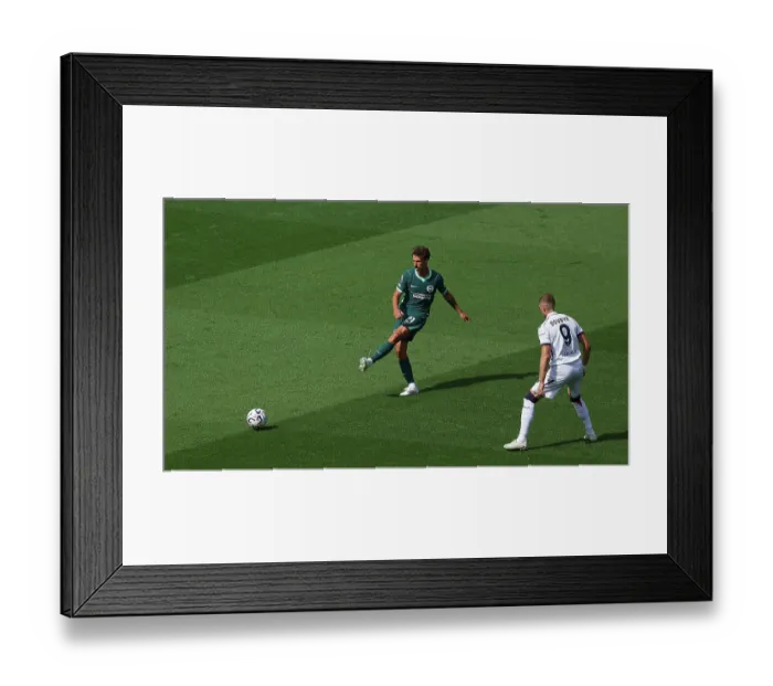 Framed Print : Brighton and Hove Albion v Bologna Premier League 15AUG26