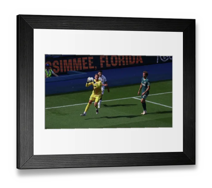 Framed Print : Brighton and Hove Albion v Bologna Premier League 15AUG26