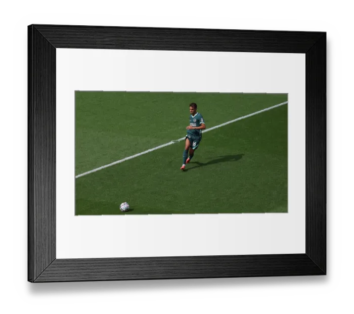 Framed Print : Brighton and Hove Albion v Bologna Premier League 15AUG26 Framed Print : Brighton and Hove Albion v Bologna Premier League 15AUG26