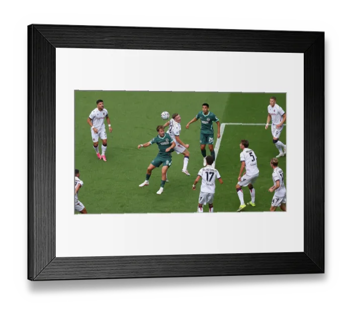 Framed Print : Brighton and Hove Albion v Bologna Premier League 15AUG26 Framed Print : Brighton and Hove Albion v Bologna Premier League 15AUG26