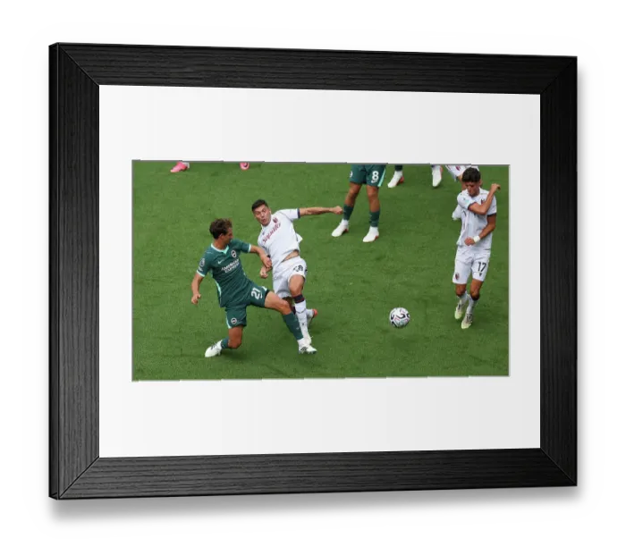 Framed Print : Brighton and Hove Albion v Bologna Premier League 15AUG26
