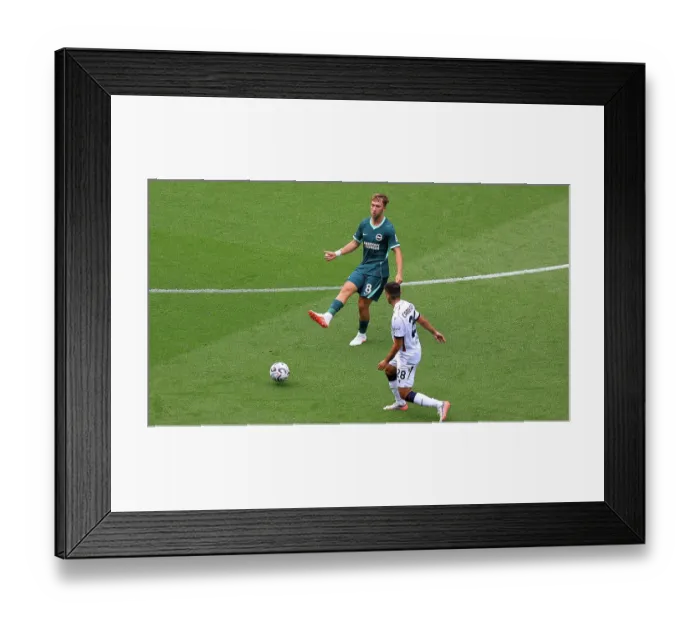 Framed Print : Brighton and Hove Albion v Bologna Premier League 15AUG26 Framed Print : Brighton and Hove Albion v Bologna Premier League 15AUG26