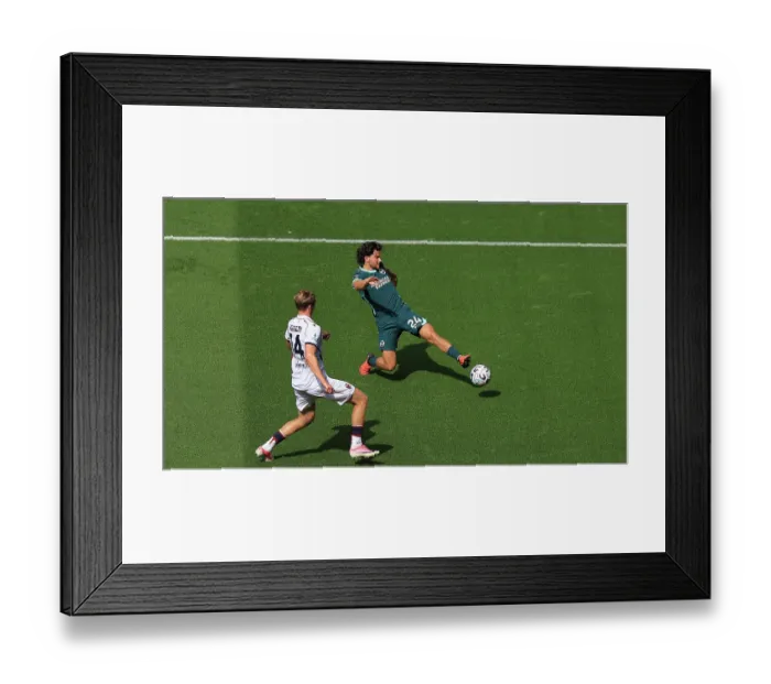 Framed Print : Brighton and Hove Albion v Bologna Premier League 15AUG26 Framed Print : Brighton and Hove Albion v Bologna Premier League 15AUG26
