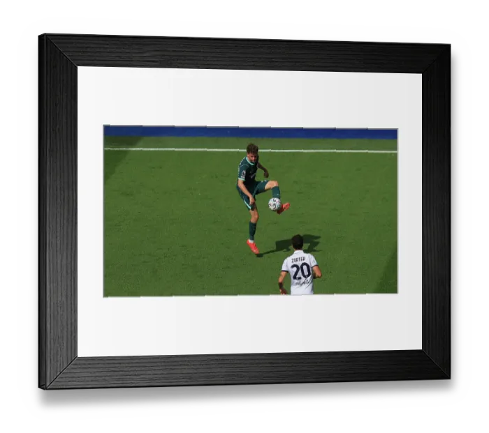 Framed Print : Brighton and Hove Albion v Bologna Premier League 15AUG26 Framed Print : Brighton and Hove Albion v Bologna Premier League 15AUG26