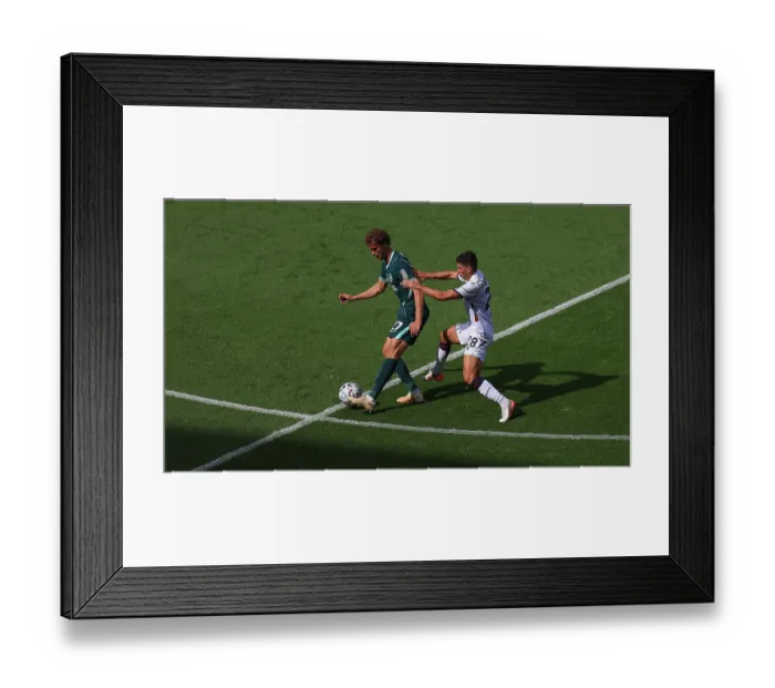 Framed Print : Brighton and Hove Albion v Bologna Premier League 15AUG26 Framed Print : Brighton and Hove Albion v Bologna Premier League 15AUG26