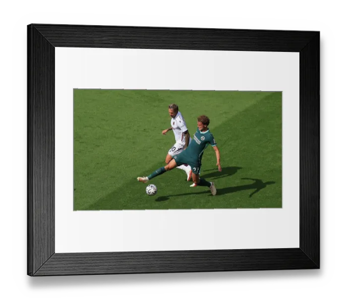 Framed Print : Brighton and Hove Albion v Bologna Premier League 15AUG26 Framed Print : Brighton and Hove Albion v Bologna Premier League 15AUG26