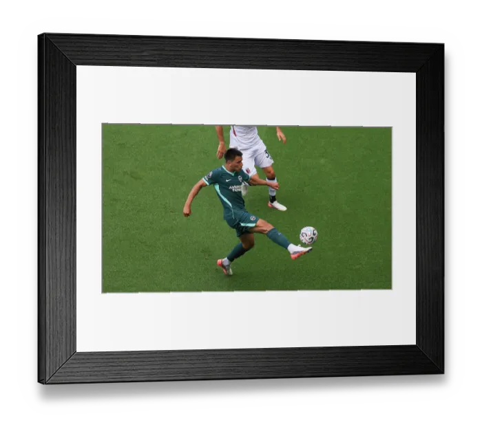 Framed Print : Brighton and Hove Albion v Bologna Premier League 15AUG26