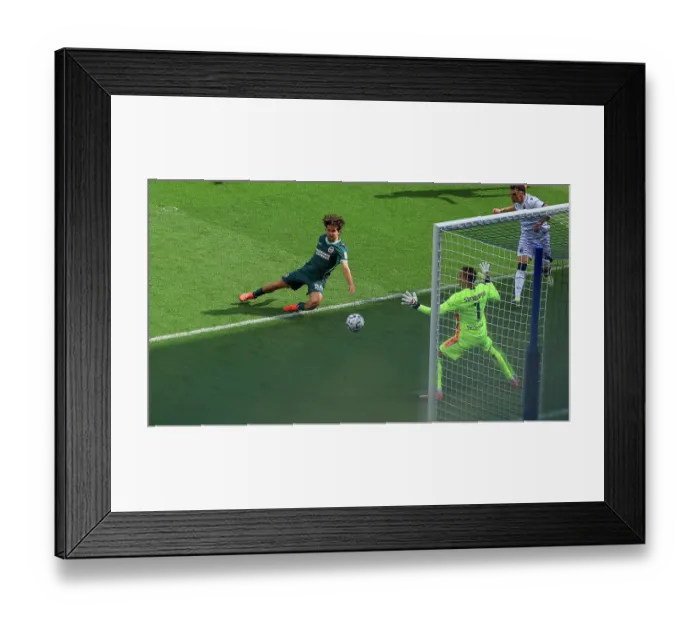 Framed Print : Brighton and Hove Albion v Bologna Premier League 15AUG26