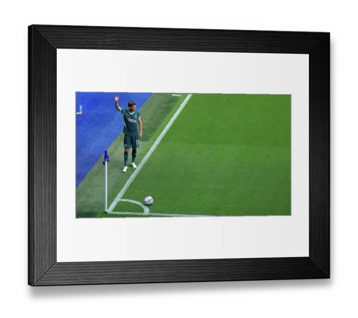 Framed Print : Brighton and Hove Albion v Bologna Premier League 15AUG26