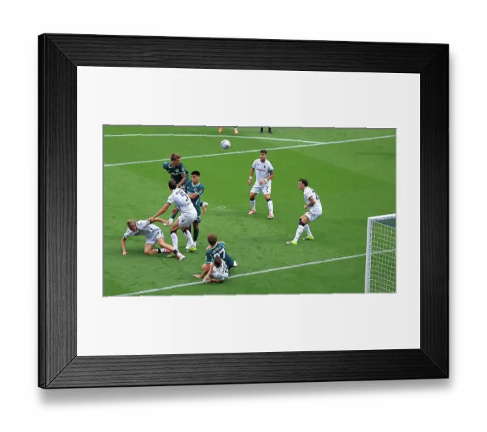 Framed Print : Brighton and Hove Albion v Bologna Premier League 15AUG26