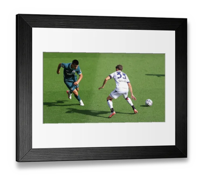 Framed Print : Brighton and Hove Albion v Bologna Premier League 15AUG26 Framed Print : Brighton and Hove Albion v Bologna Premier League 15AUG26