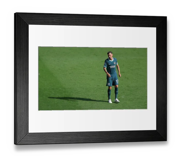 Framed Print : Brighton and Hove Albion v Bologna Premier League 15AUG26 Framed Print : Brighton and Hove Albion v Bologna Premier League 15AUG26