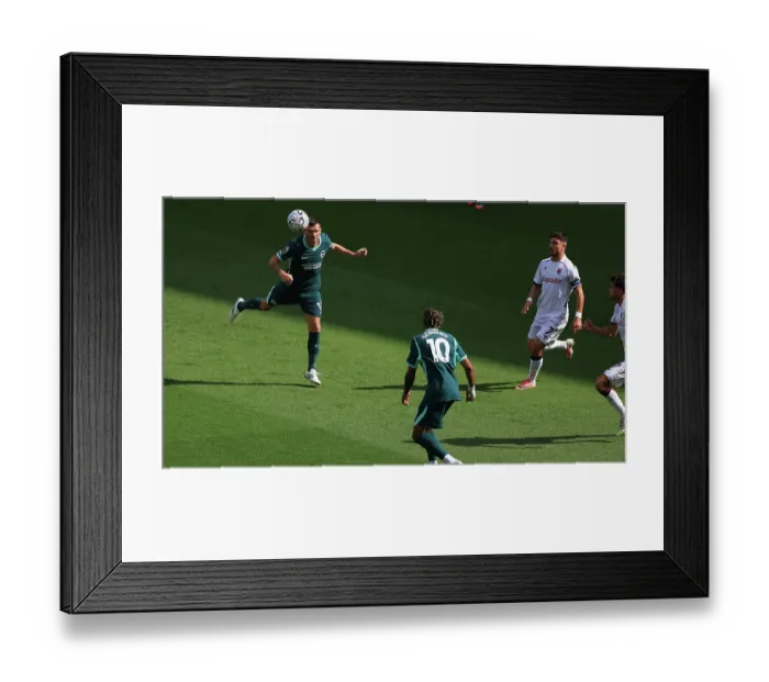 Framed Print : Brighton and Hove Albion v Bologna Premier League 15AUG26 Framed Print : Brighton and Hove Albion v Bologna Premier League 15AUG26