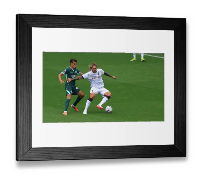Framed Print : Brighton and Hove Albion v Bologna Premier League 15AUG26 Framed Print : Brighton and Hove Albion v Bologna Premier League 15AUG26