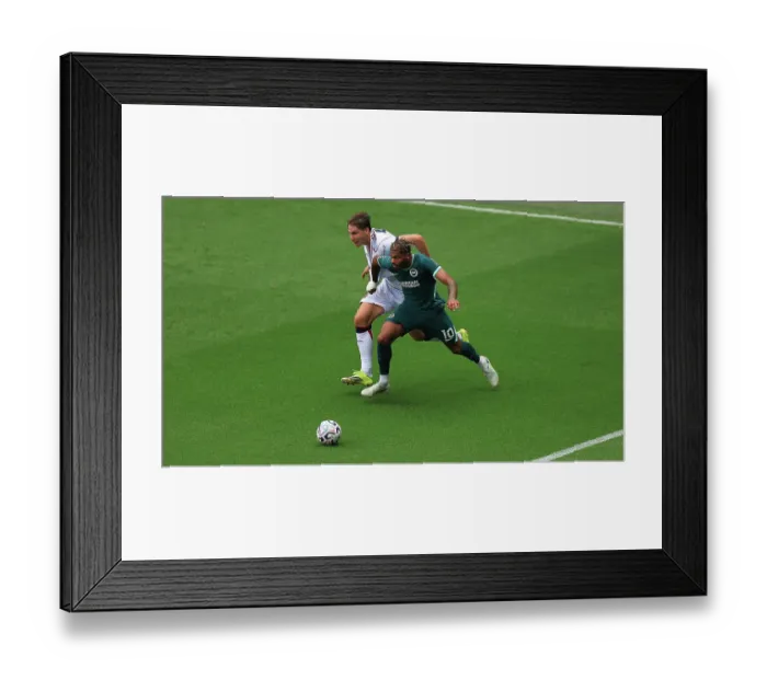Framed Print : Brighton and Hove Albion v Bologna Premier League 15AUG26